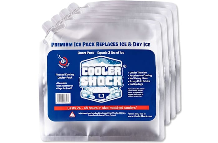 Cooler Shock ice packs